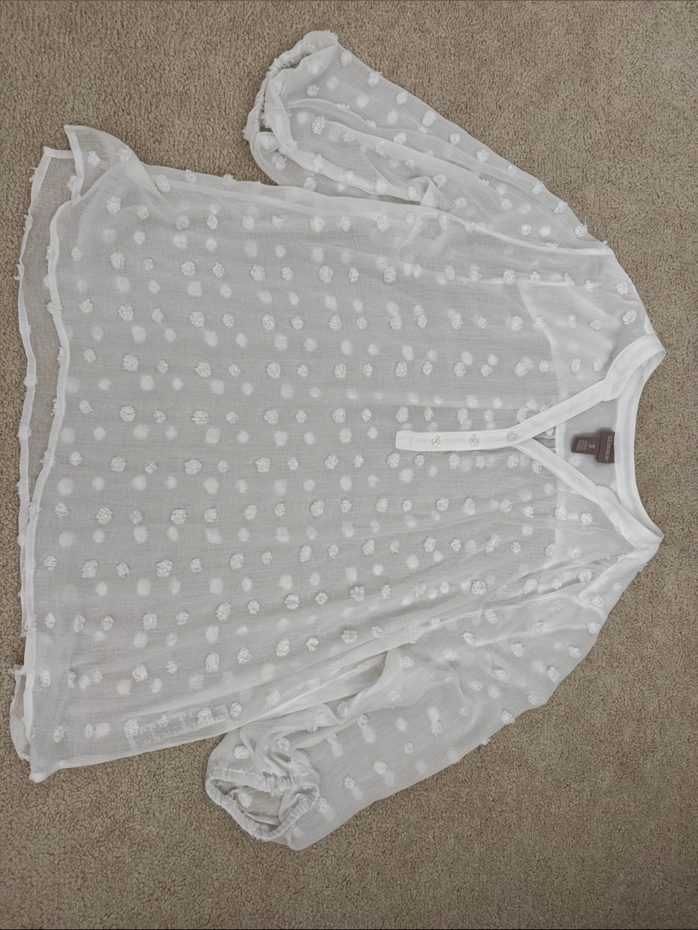 Chico's White Sheer Dot-Embroidered V-Neck Tunic